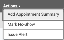 How to complete a appointment summary in navigate